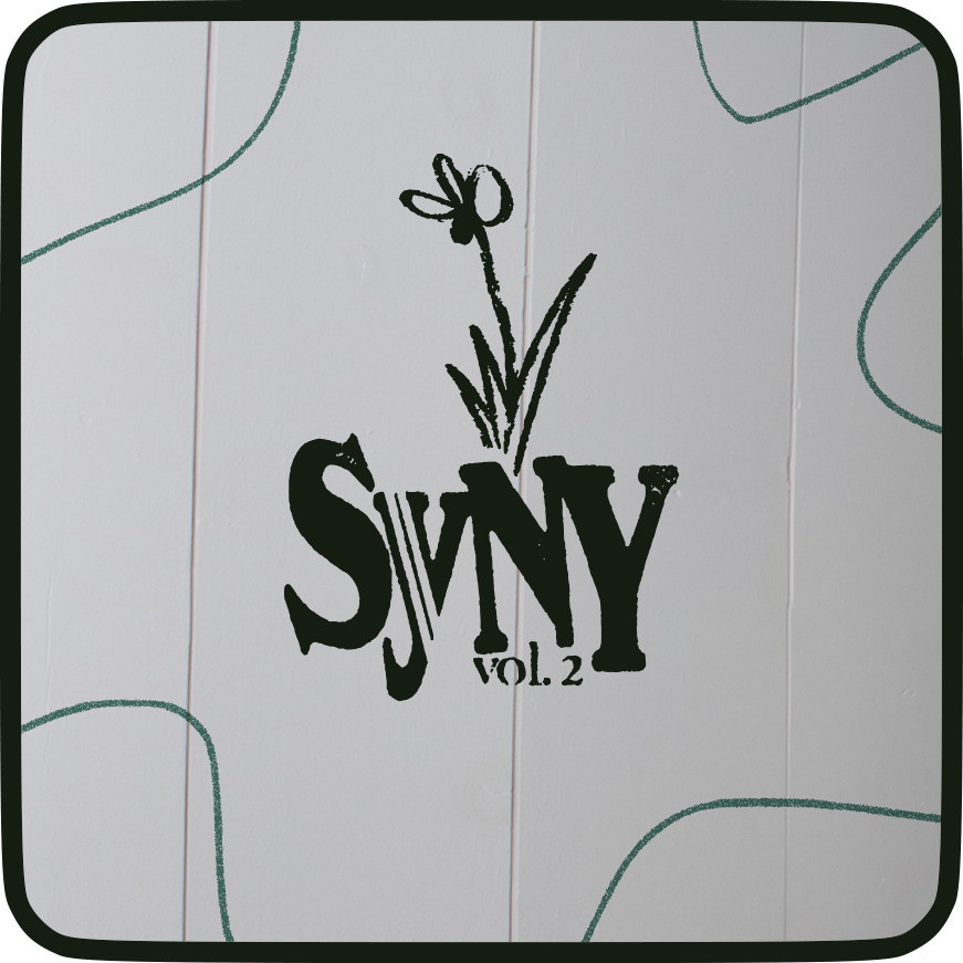 syny2 icon hover