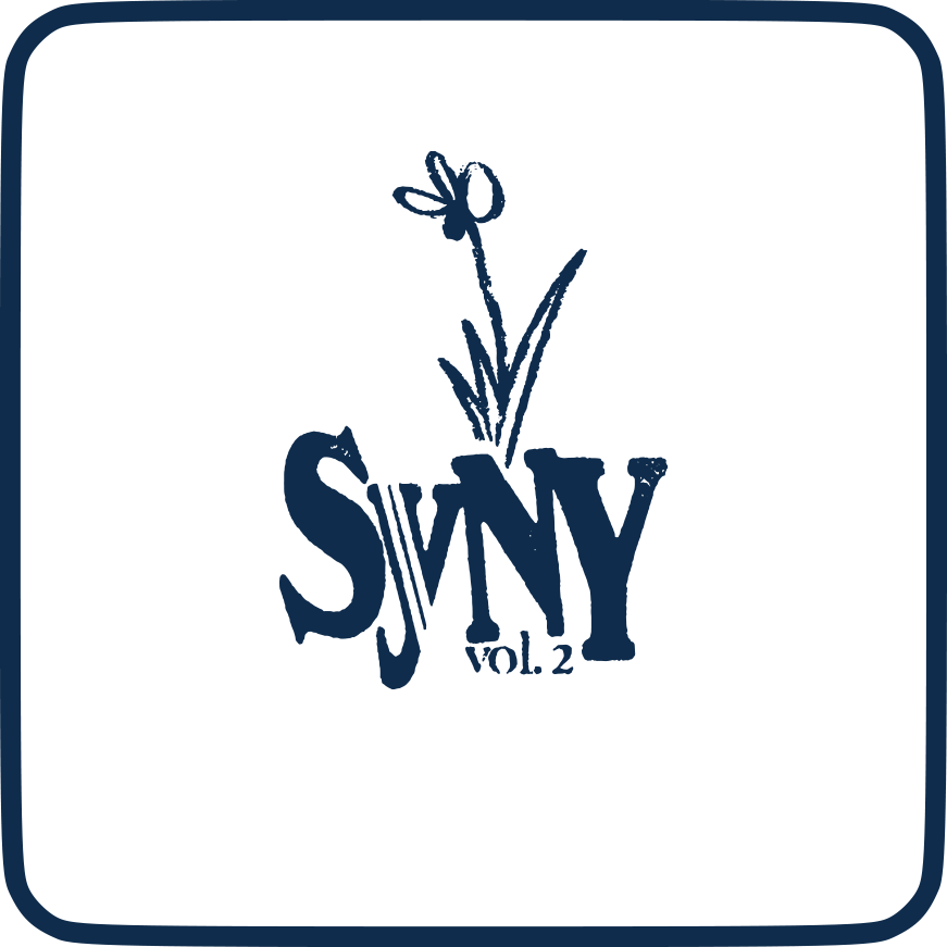 syny2 icon